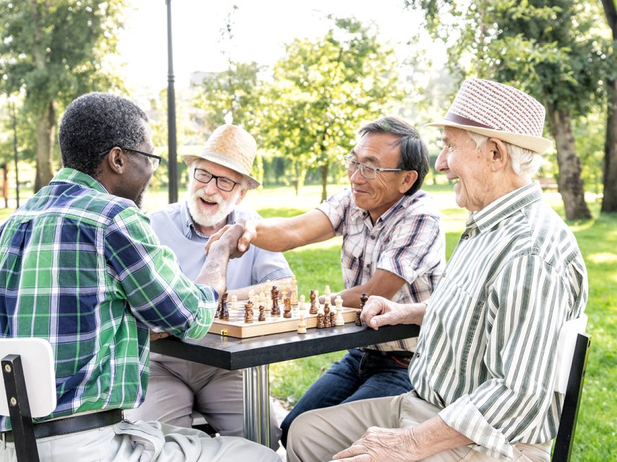 friends playing chess