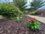 Red Cedar Glen grounds with flowers