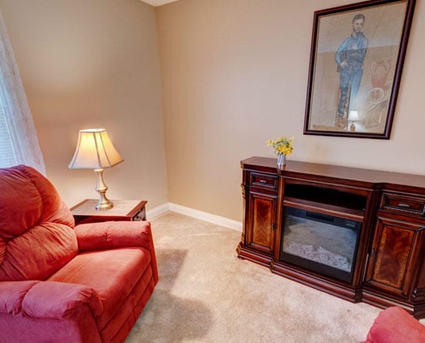 living room with electric fireplace