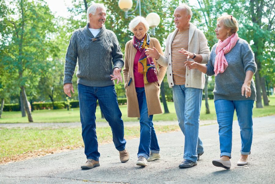 two couples walking in the park